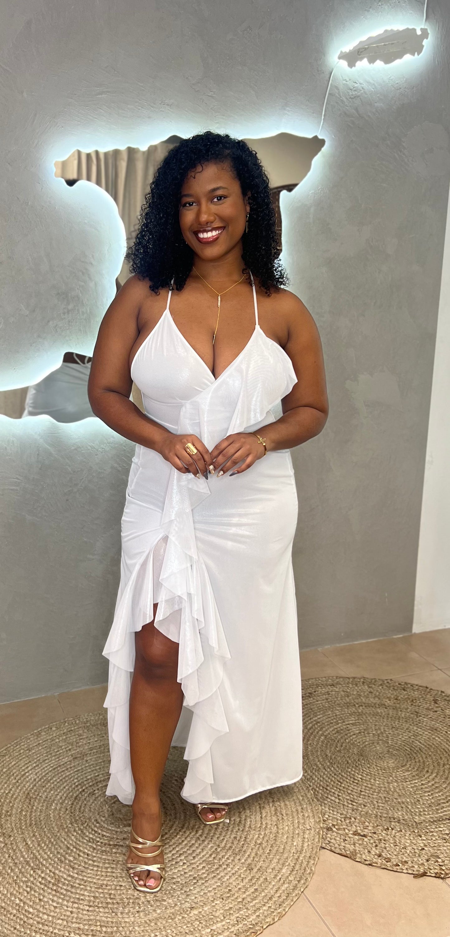 KINGSTON MAXI DRESS (METALLIC MESH LINED)