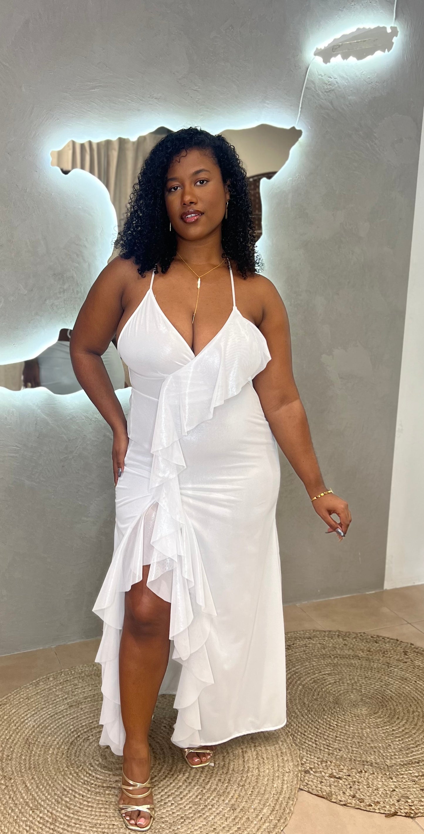 KINGSTON MAXI DRESS (METALLIC MESH LINED)